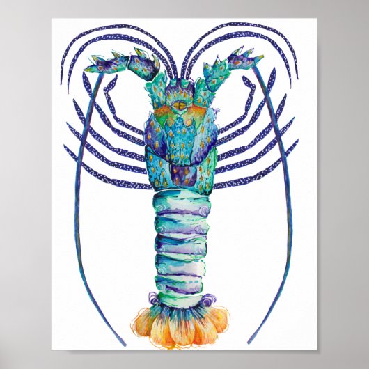 Western Australian Painted Rock Lobster Poster (Vorne)