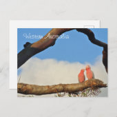 Western Australien Vogelarten Feiertagspostkarte (Vorne/Hinten)