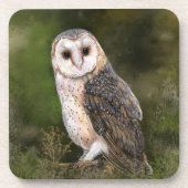 Western Barn Owl Beverage Coaster - Malerei Getränkeuntersetzer (Vorderseite)