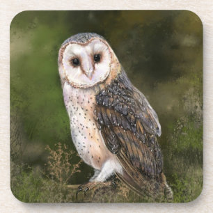 Western Barn Owl Beverage Coaster - Malerei Getränkeuntersetzer