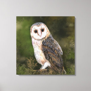 Western Barn Owl Canvas Print - Painting  Leinwanddruck