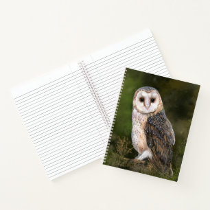 Western Barn Owl Notebook Notizblock