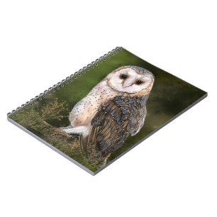 Western Barn Owl Notebook Notizblock