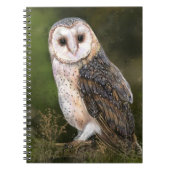 Western Barn Owl Notebook Notizblock (Vorderseite)