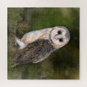 Western Barn Owl - Wasserfarbenmalerei Art Puzzle (Horizontal)