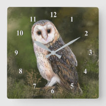 Western Barn Owl - Wasserfarbenmalerei Art