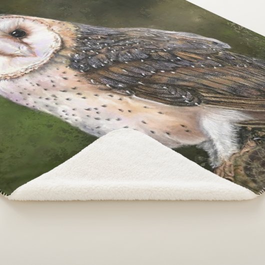 Western Barn Owl - Wasserfarbenmalerei Art Sherpadecke (3/4)
