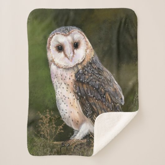 Western Barn Owl - Wasserfarbenmalerei Art Sherpadecke (Vorderseite)