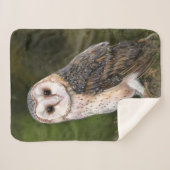 Western Barn Owl - Wasserfarbenmalerei Art Sherpadecke (Vorderseite (Horizontal))