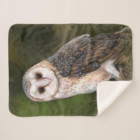 Western Barn Owl - Wasserfarbenmalerei Art Sherpadecke (Vorderseite (Horizontal))