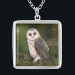 Western Barn Owl - Wasserfarbenmalerei Art Versilberte Kette<br><div class="desc">Western Barn Owl - Migne Wasserfarben Malerei Kunst,  Bird of Forest</div>