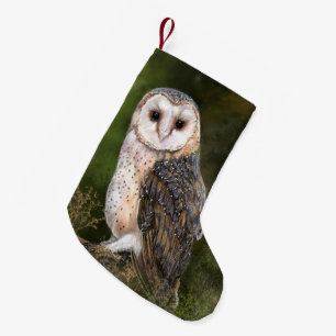 Western Barn Owl Weihnachten Strumpf Kleiner Weihnachtsstrumpf