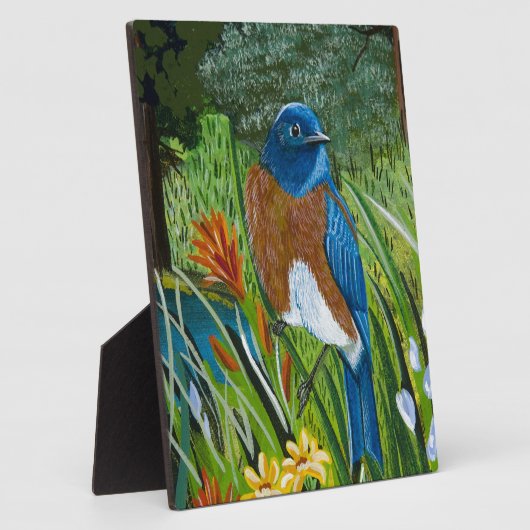 Western Bluebird Fotoplatte (Seite)