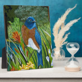 Western Bluebird Fotoplatte (Seite)