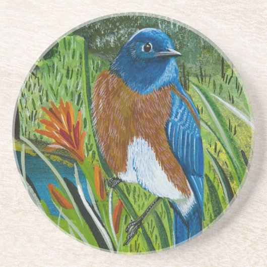 Western Bluebird Getränkeuntersetzer (Vorne)