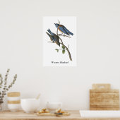 Western Bluebird, John Audubon Poster (Küche)