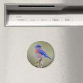 Western Bluebird Magnet (In Situ (Geschirrspüler))