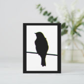 Western Bluebird Silhouette Postcard Postkarte (Stehend Vorderseite)
