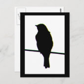 Western Bluebird Silhouette Postcard Postkarte (Vorne/Hinten)