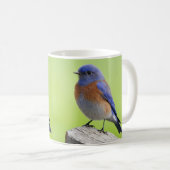 Western Bluebird Tasse (VorderseiteRechts)