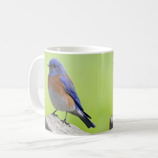 Western Bluebird Tasse (Vorderseite Links)