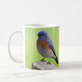 Western Bluebird Tasse (Links)