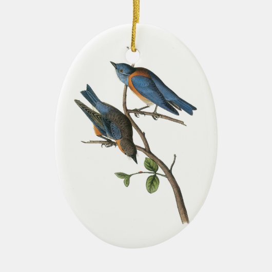 Western Bluebird von Audubon Keramikornament (Vorne)