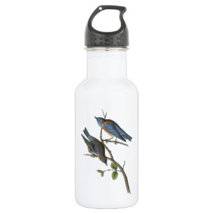 Western Bluebird von Audubon Trinkflasche