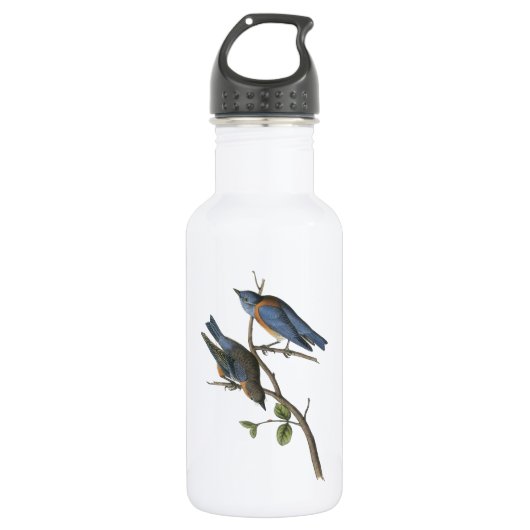 Western Bluebird von Audubon Trinkflasche (Vorderseite)