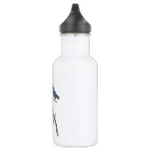 Western Bluebird von Audubon Trinkflasche (Rechts)