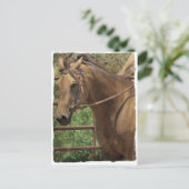 Western Buckskin Pferd Postkarte (Stehend Vorderseite)