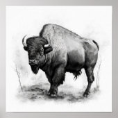 Western Buffalo Art Print Poster (Vorne)