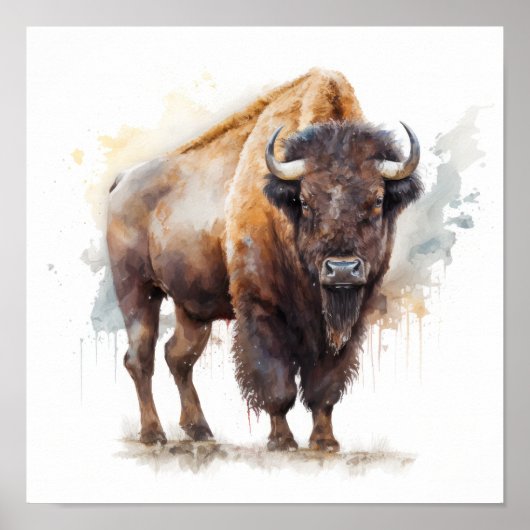 Western Buffalo Art Print Poster (Vorne)