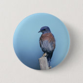 Western Button (Vorderseite)