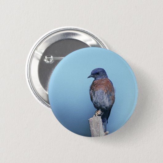Western Button (Vorne & Hinten)