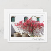 Western Cape Wine Farm Gebäude Stadtbild Postkarte (Vorne/Hinten)