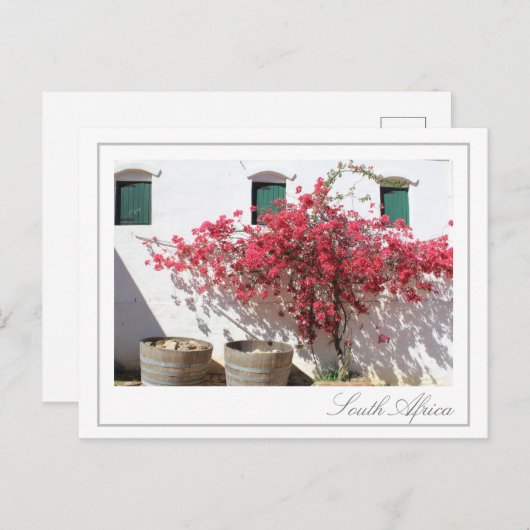 Western Cape Wine Farm Gebäude Stadtbild Postkarte (Vorne/Hinten)