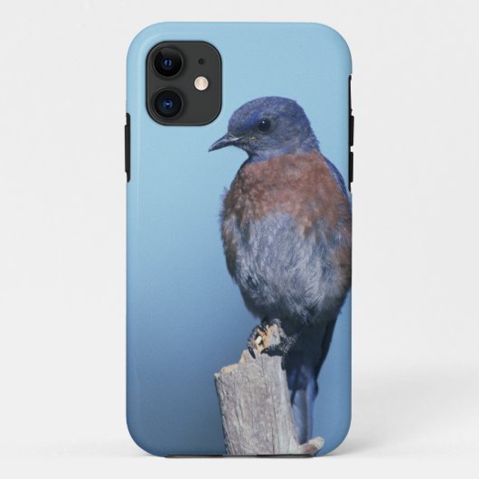 Western Case-Mate iPhone Hülle (Rückseite)