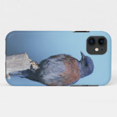 Western Case-Mate iPhone Hülle (Rückseite (Horizontal))