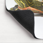 Western (Chrysemys picta bellii), Mousepad (Ecke)