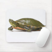 Western (Chrysemys picta bellii), Mousepad (Mit Mouse)