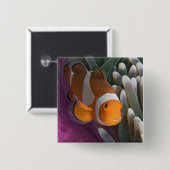 Western Clown Anemone Fish Button (Vorne & Hinten)