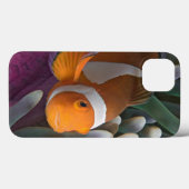 Western Clown Anemone Fish Case-Mate iPhone Hülle (Rückseite (Horizontal))