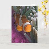 Western Clown Anemone Fish Karte (Gelbe Blume)