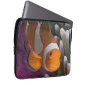 Western Clown Anemone Fish Laptopschutzhülle (Vorne Rechts)