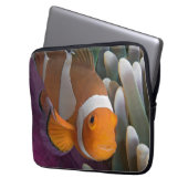 Western Clown Anemone Fish Laptopschutzhülle (Vorderseite Links)