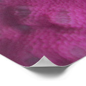 Western Clown Anemone Fish Poster (Ecke)