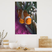 Western Clown Anemone Fish Poster (Küche)
