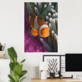 Western Clown Anemone Fish Poster (Heimbüro)