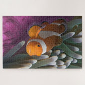 Western Clown Anemone Fish Puzzle (Horizontal)